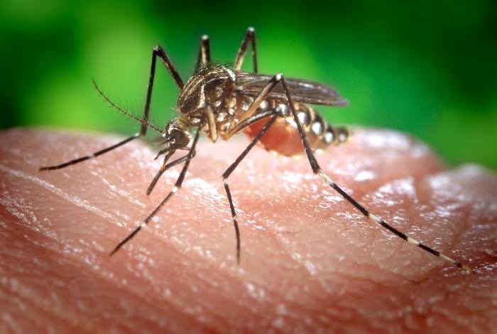 Health, Conflict and Poverty